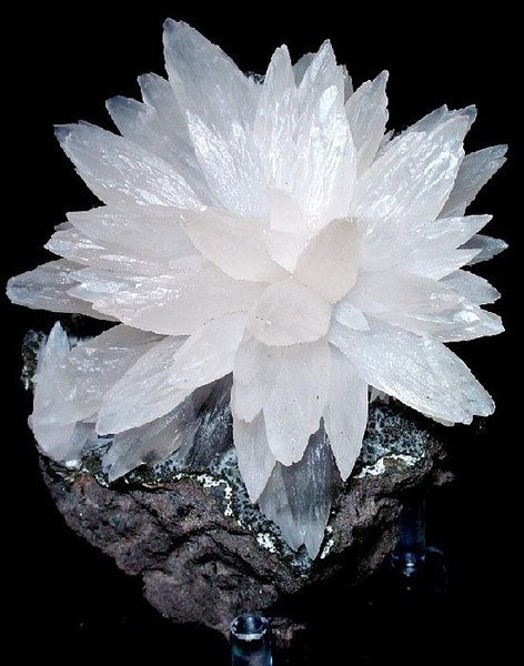 1716948233994260.png 微信图片_20240529100341.png